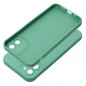 Apple iPhone 12 Coque Roar Luna Monochromatique, Élégant, Un accessoire esthétique  Vert