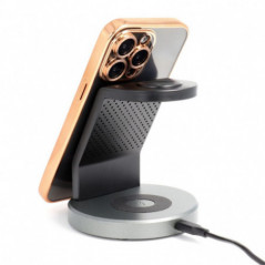 Apple iPhone 16e Coque Electro Mag MagSAFE  Or