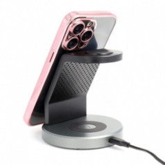 Apple iPhone 16e Coque Electro Mag MagSAFE  Or rose