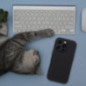 Apple iPhone 16 Coque Silicone 2mm Noir Apple iPhone 16 Coque Silicone 2mm Noir