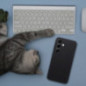 Samsung Galaxy S25 Coque Silicone 2mm Noir Samsung Galaxy S25 Coque Silicone 2mm Noir
