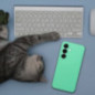 Samsung Galaxy S25 Coque Silicone 2mm Couleur menthe